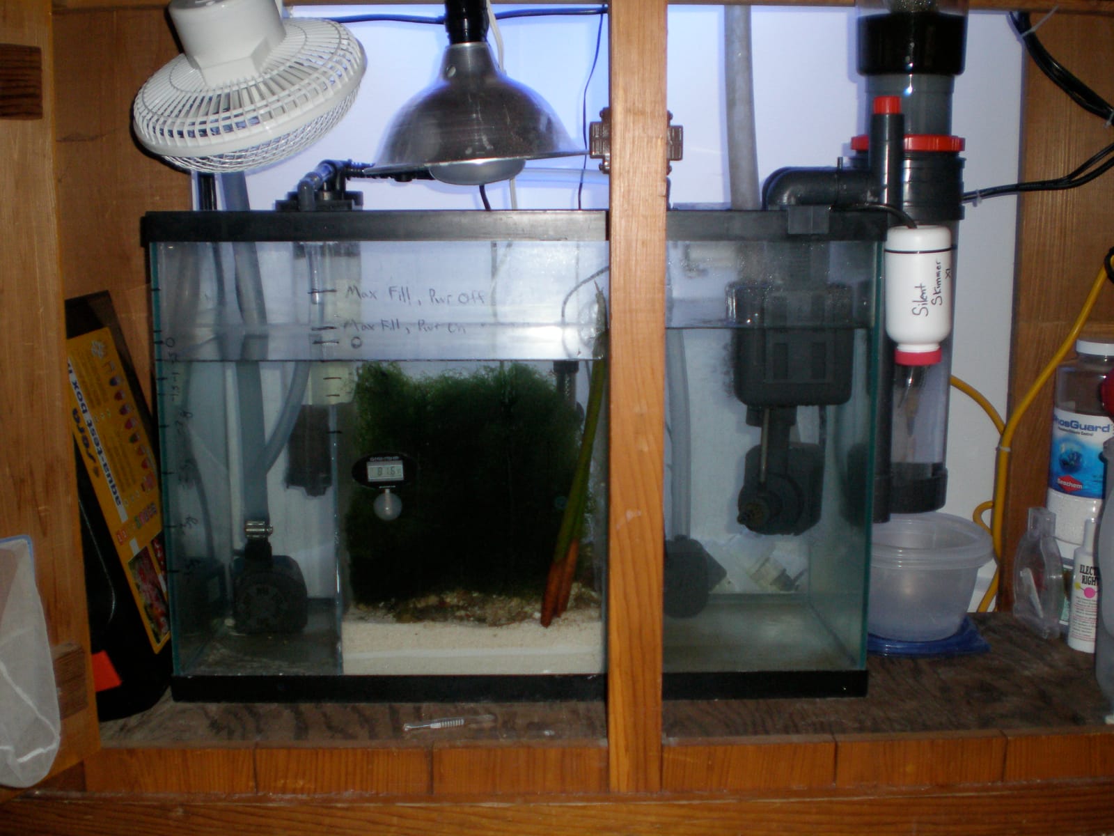 One of my two earlier reef tanks