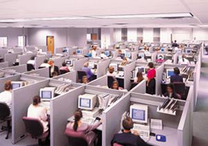 Cubicle Farm