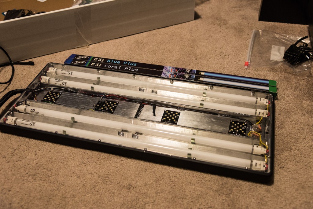 reef-tank-july2015-031