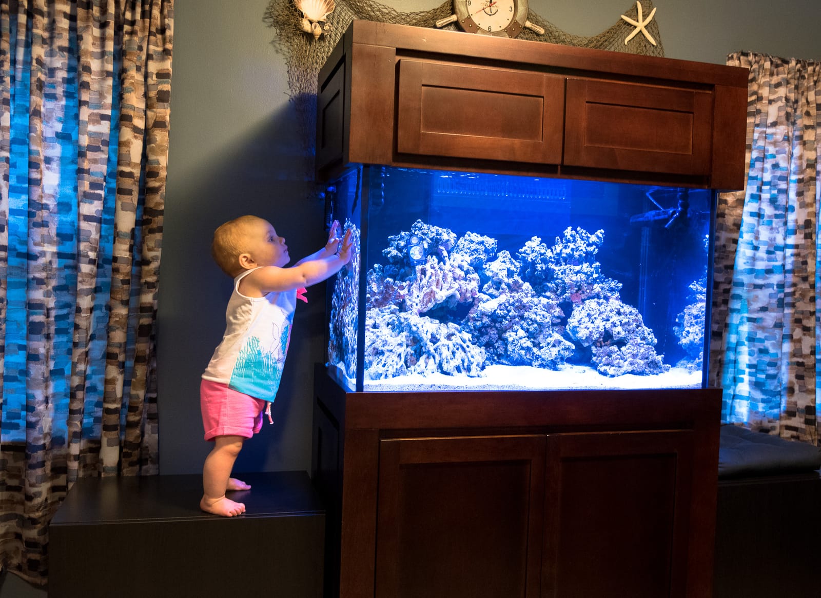 Reaching for the reef